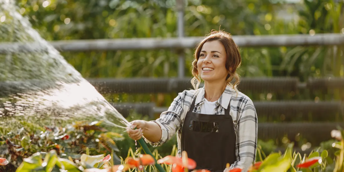 A smiling gardener in an apron watering a bed of flowering plants with a hose in an open garden nursery